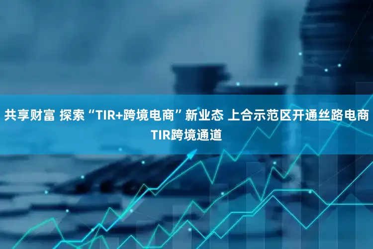 共享财富 探索“TIR+跨境电商”新业态 上合示范区开通丝路电商TIR跨境通道