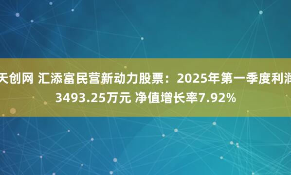 天创网 汇添富民营新动力股票：2025年第一季度利润3493.25万元 净值增长率7.92%