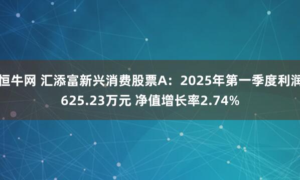 恒牛网 汇添富新兴消费股票A：2025年第一季度利润625.23万元 净值增长率2.74%