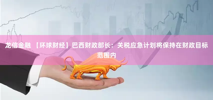 龙信金融 【环球财经】巴西财政部长：关税应急计划将保持在财政目标范围内